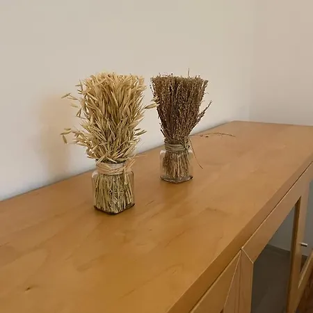 Ferienwohnung Schennach Obsteig Exteriér fotografie