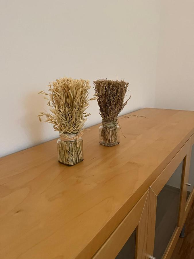 Apartment Schennach Obsteig